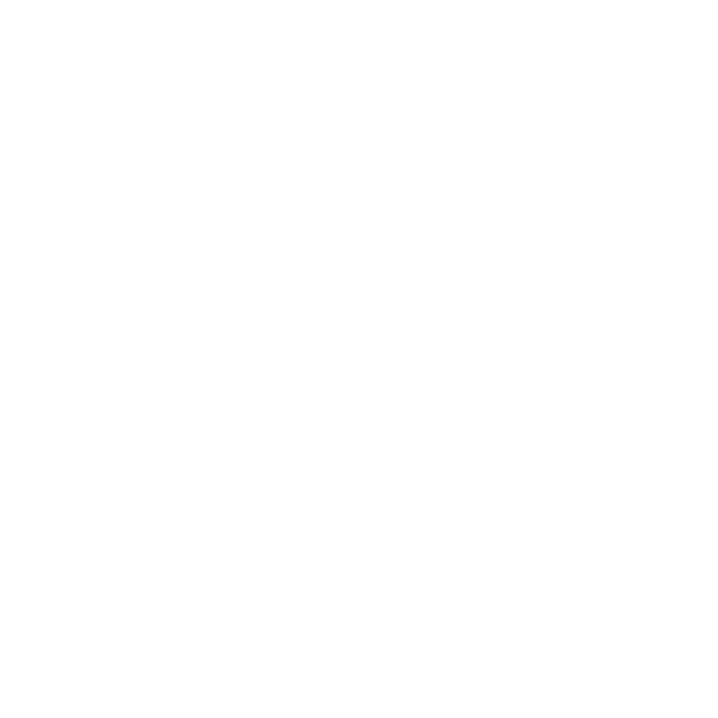 Nintendo Switch icon